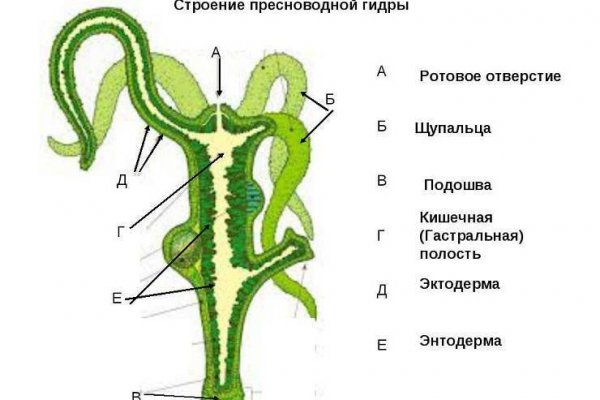 Кракен тор