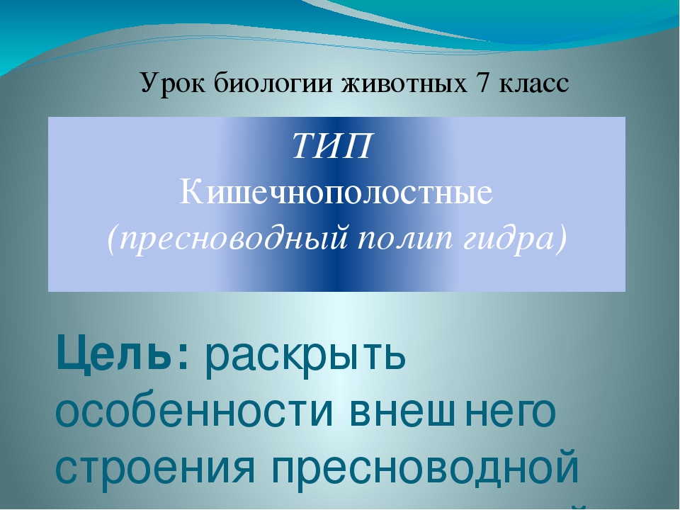 Kra44at